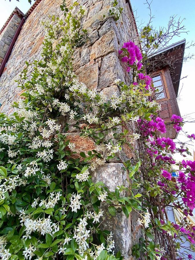 Villa Bakacak Selimiye  Exteriér fotografie